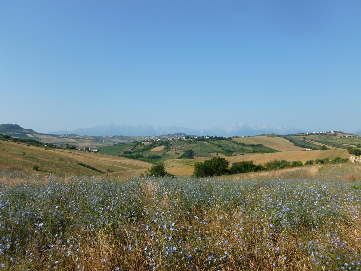 Il Frutteto Bed And Breakfast Ripattone Dış mekan fotoğraf