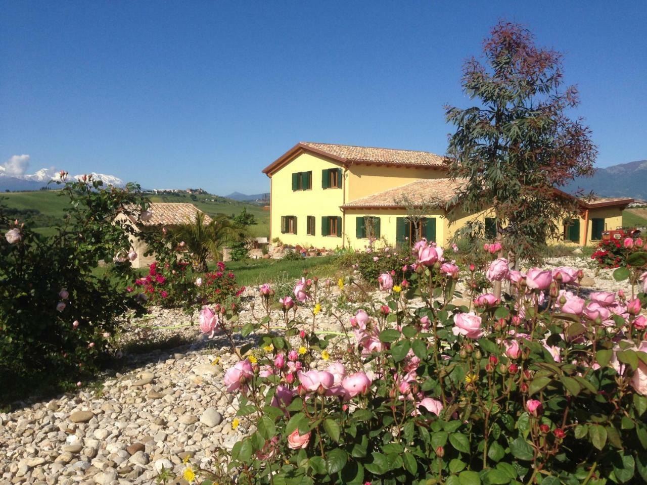 Il Frutteto Bed And Breakfast Ripattone Dış mekan fotoğraf