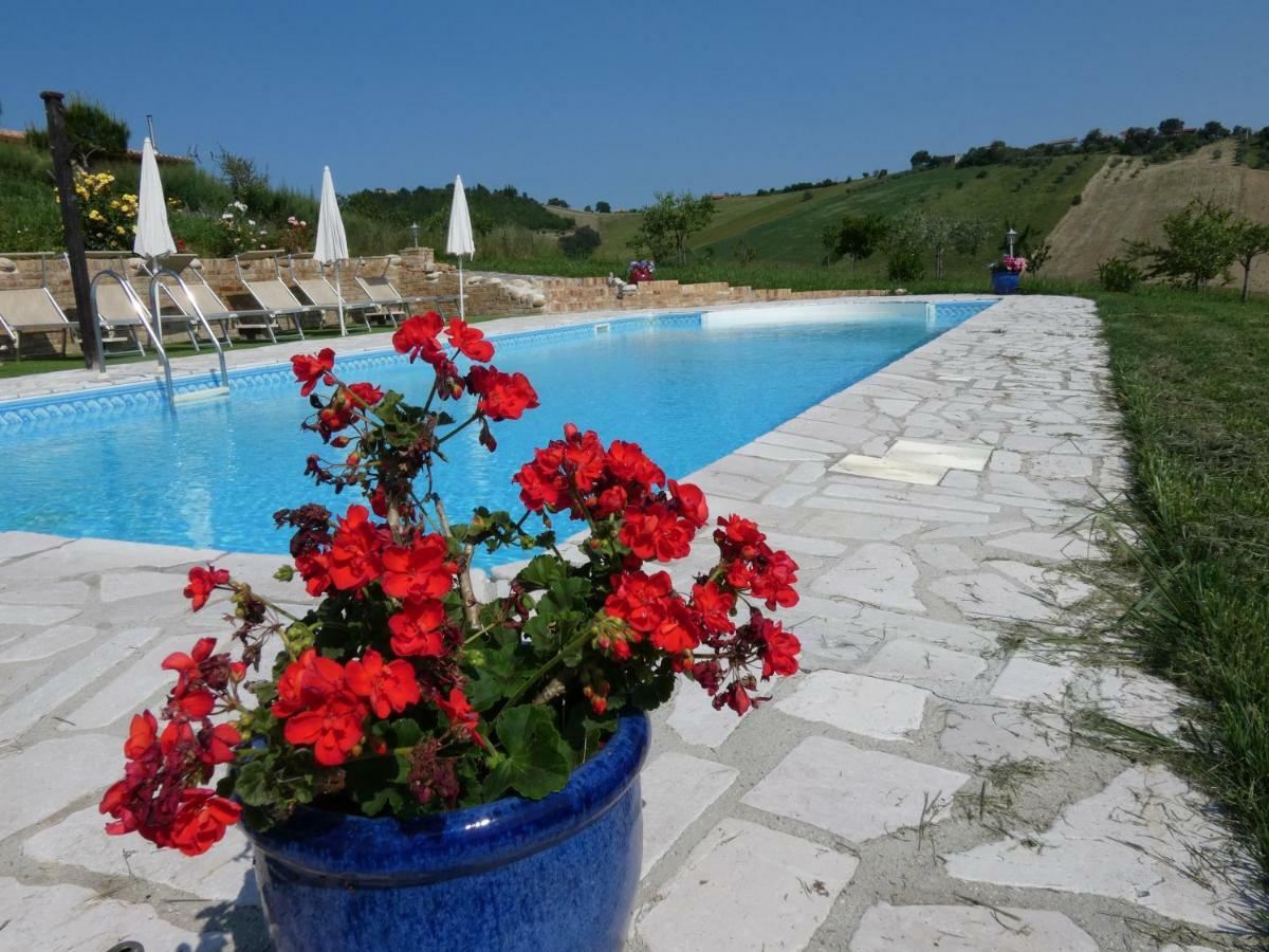 Il Frutteto Bed And Breakfast Ripattone Dış mekan fotoğraf